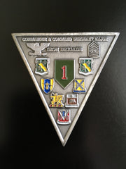 1st Infantry Division 3rd BCT Commander & CSM (OIF)