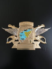 10th Combat Aviation Brigade Commander & CSM OEF XI