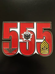 555th Combat Support Brigade (ME) Commander & CSM