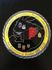10th Mountain Division Sustainment Brigade Commander & CSM (Version 3)